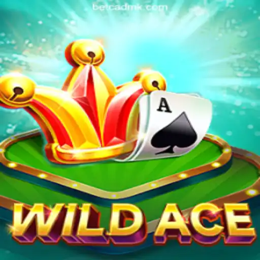 Exploring WildAce: The Premier Online Gaming Experience in Brazil